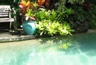 Sandgate QLDswimming-pool-landscaping-3.jpg; ?>